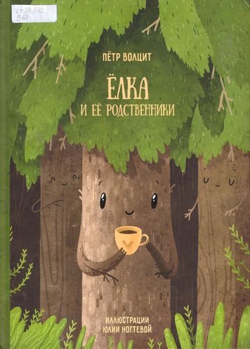 Ёлка — вечнозелёный долгожитель леса