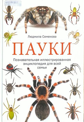 Пауки